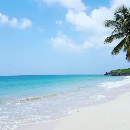 - Les Pieds Dans L'Eau A 50M De La Plage, Cote Mer Caraibe - Domaine De L'Anse Caritan - Sainte-Anne - Zewnętrze zdjęcie