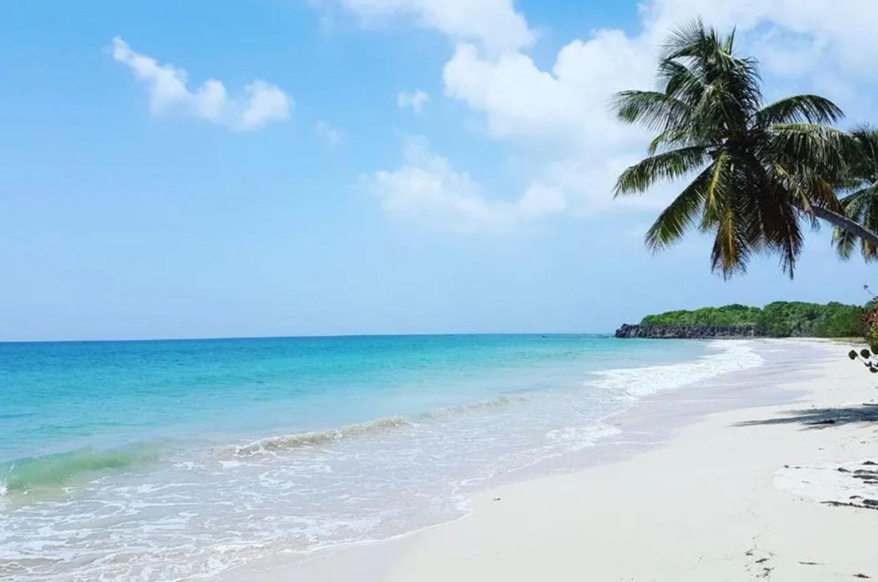 - Les Pieds Dans L'Eau A 50M De La Plage, Cote Mer Caraibe - Domaine De L'Anse Caritan - Sainte-Anne - Zewnętrze zdjęcie
