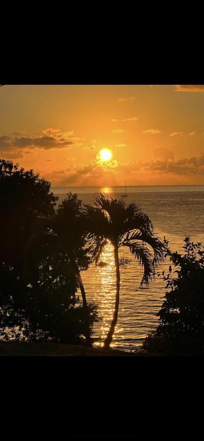 - Les Pieds Dans L'Eau A 50M De La Plage, Cote Mer Caraibe - Domaine De L'Anse Caritan - Sainte-Anne - Zewnętrze zdjęcie